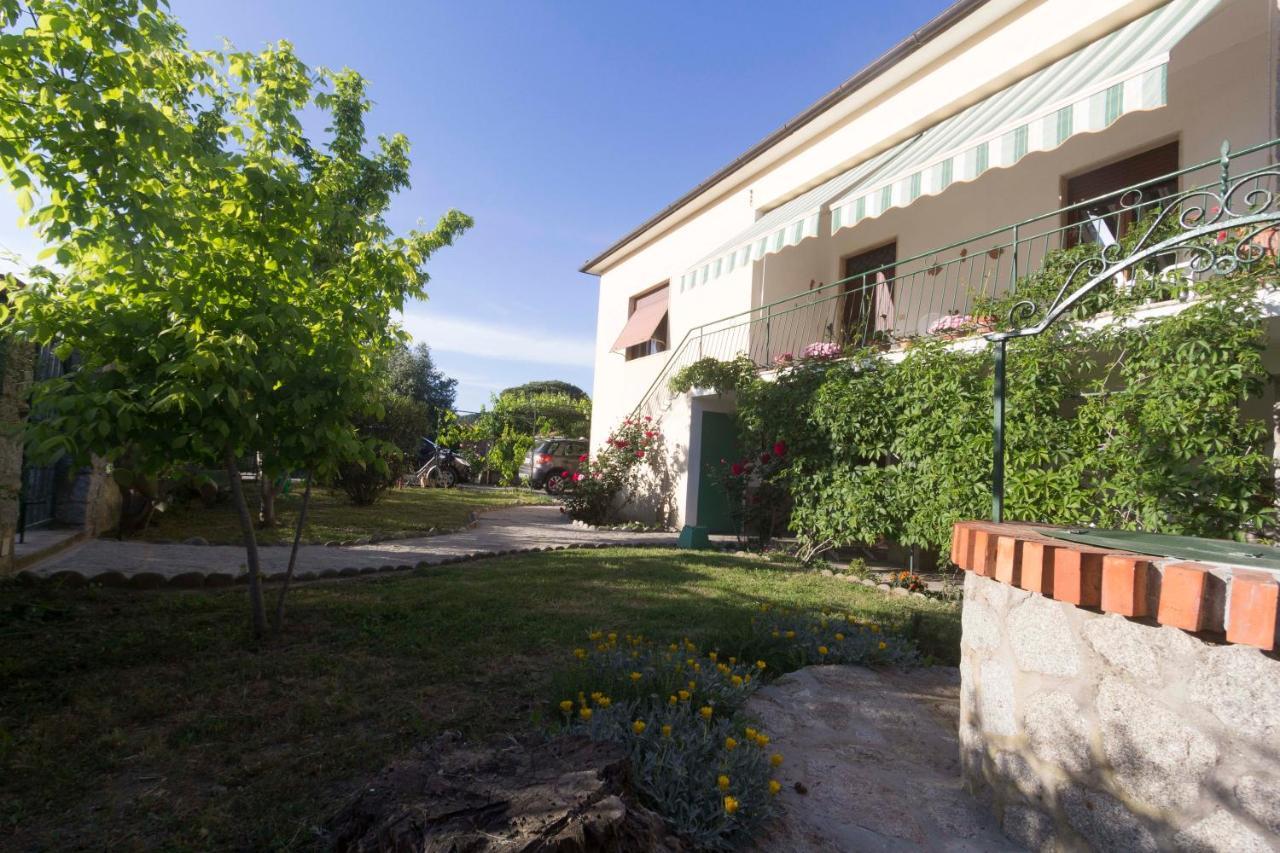 Oleandro Rosa - Goelba Marina di Campo Exterior photo